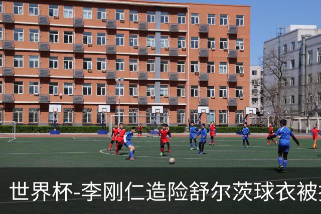 世界杯-李刚仁造险舒尔茨球衣被撕烂 半场韩国0-0捷克